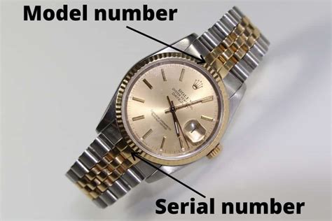 how to identify rolex models.